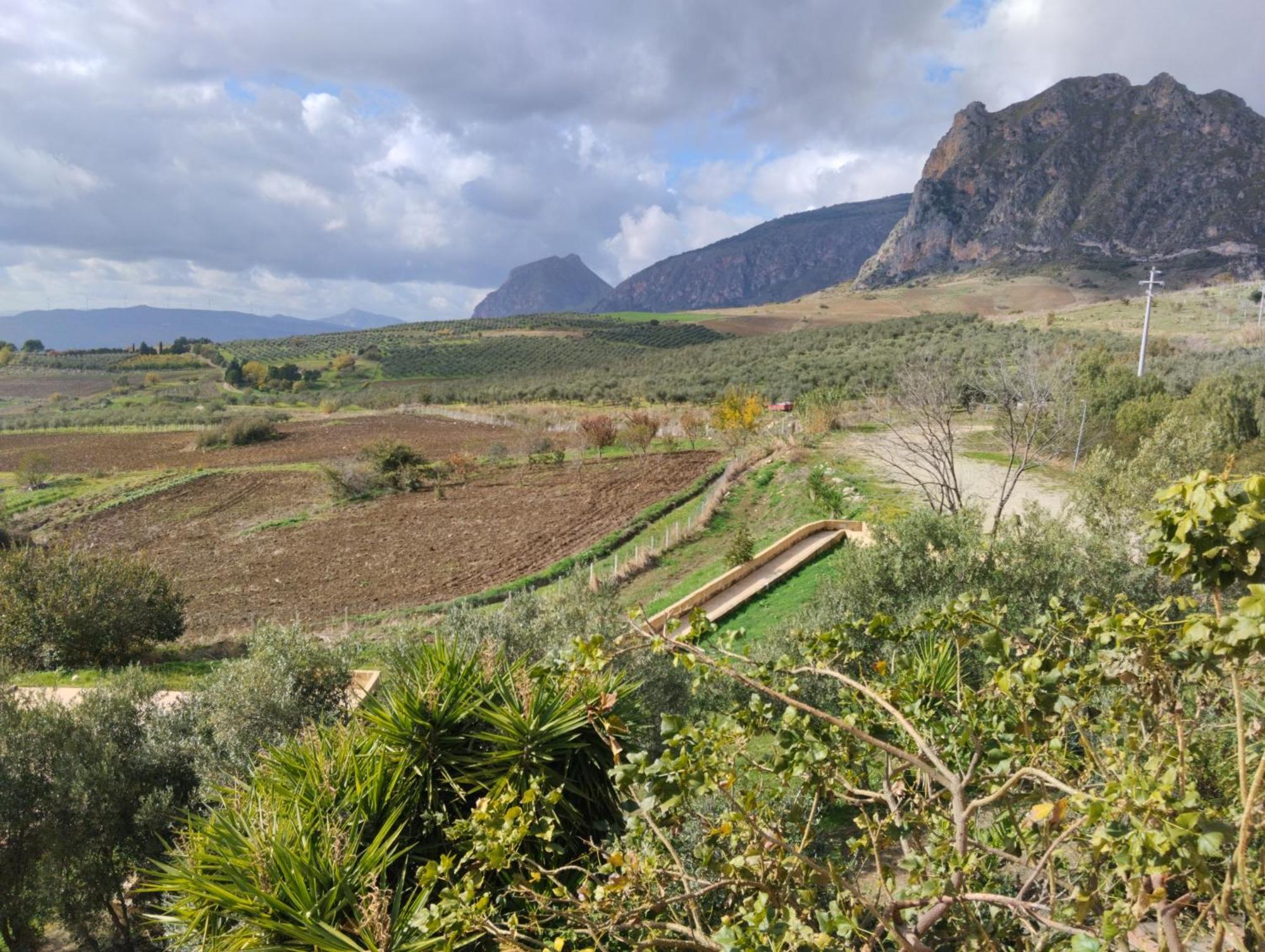 Agriturismo Masseria La Chiusa San Giuseppe Jato ภายนอก รูปภาพ